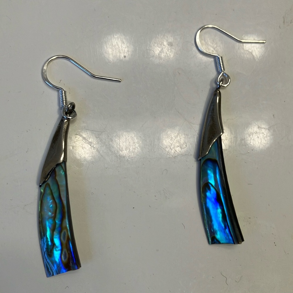 Abalone shells draped in silver earrings.